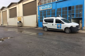 Everdıgm